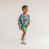 Nevada | Stripe | Multicolor