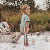 Multi Stripes | Flared Legging | Multicolor
