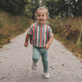 Multi Stripes | Cropped Tee | Multicolor