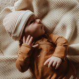 Aspen | Dash | Brown Sugar