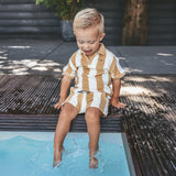 Bold Stripes | Relaxed Shorts | Multicolor