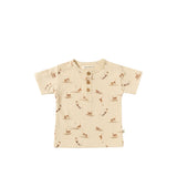 Paco | Monkey Swing | Honeycomb