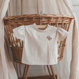 Single Jersey | Shortsleeve | Oyster Gray