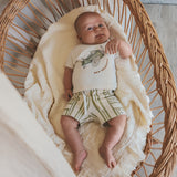 Line | Pocket Shorts | Multicolor