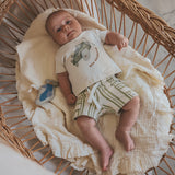 Line | Pocket Shorts | Multicolor