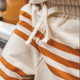 Triad Stripe | Bermuda Shorts | Multicolor